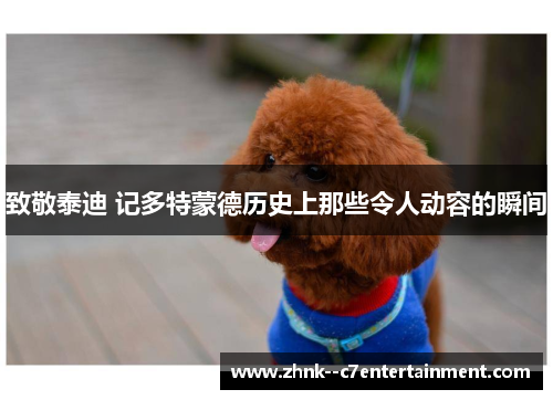 致敬泰迪 记多特蒙德历史上那些令人动容的瞬间