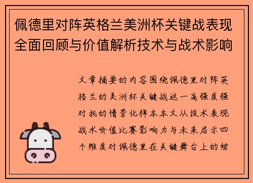 佩德里对阵英格兰美洲杯关键战表现全面回顾与价值解析技术与战术影响