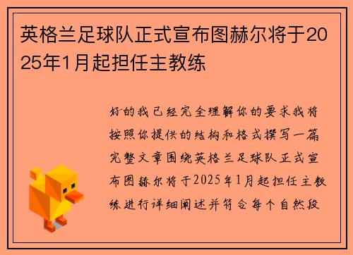 英格兰足球队正式宣布图赫尔将于2025年1月起担任主教练
